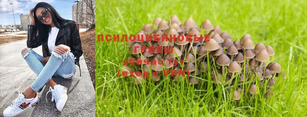 альфа пвп Пролетарск