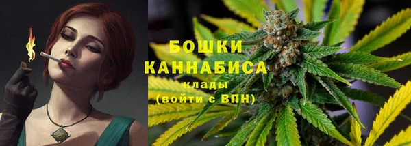 ГАЛЛЮЦИНОГЕННЫЕ ГРИБЫ Протвино