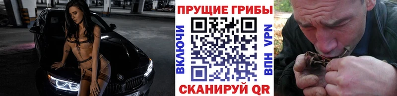 купить закладку  МЕГА как войти  Псилоцибиновые грибы GOLDEN TEACHER  Арск 